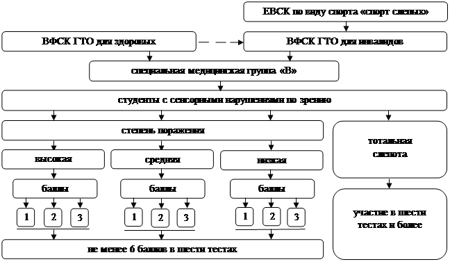 Схема деления учебных групп по физической культуре