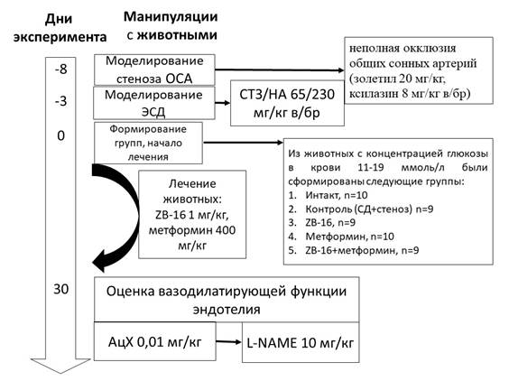 Дипиарон Инструкция Цена Таблетки Взрослым