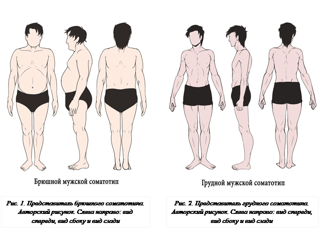 Для оценки соматотипов детей используется схема