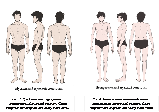 Мезосоматик