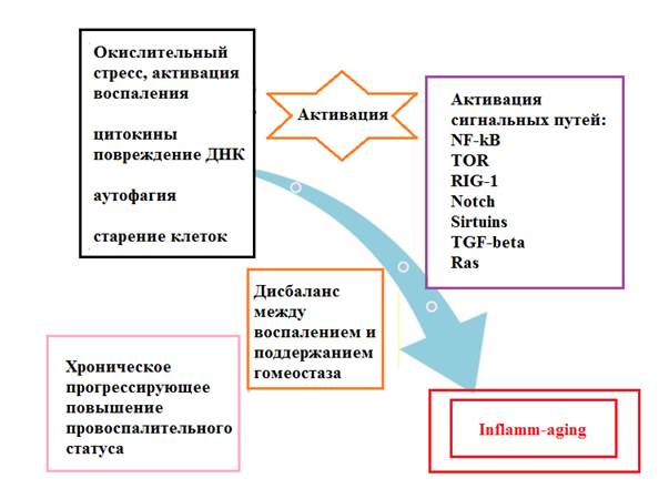 Общая схема установления социальных фактов роль гипотезы в социологическом исследовании