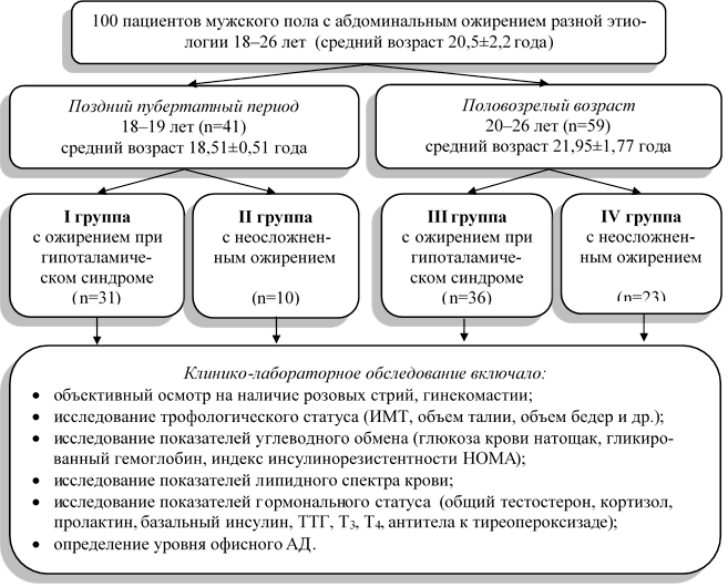 Стил синдром схема