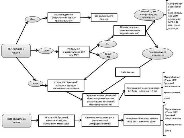 Схема лечения рака по лебедеву