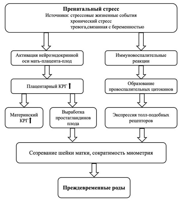 Преждевременные роды карта вызова