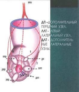 рис2 - 0002