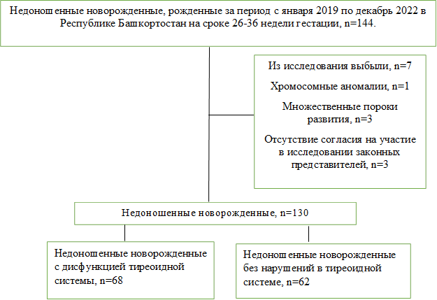 Недоношенные новорожденные, рожденные за период с января 2019 по декабрь 2022 в Республике Башкортостан на сроке 26-36 недели гестации, n=144.

,Из исследования выбыли, n=7
Хромосомные аномалии, n=1
Множественные пороки развития, n=3
Отсутствие согласия на участие в исследовании законных представителей, n=3






,Недоношенные новорожденные, n=130,Недоношенные новорожденные с дисфункцией тиреоидной системы, n=68,Недоношенные новорожденные без нарушений в тиреоидной системе, n=62

