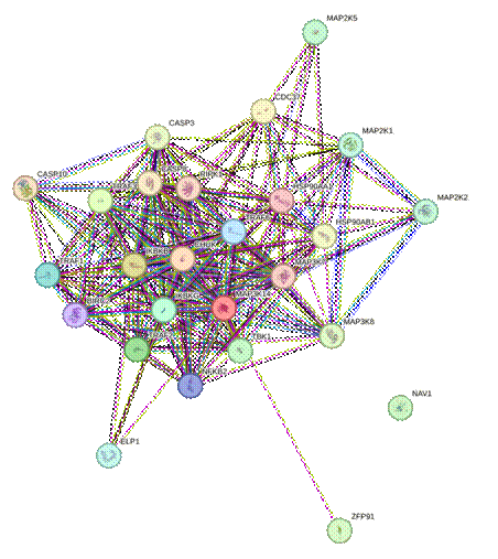 string_normal_image (1)