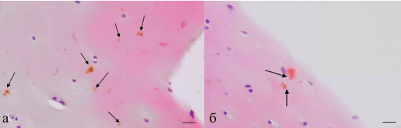 Изображение выглядит как розовый, Детское искусство, Красочность, Сирень

Содержимое, созданное искусственным интеллектом, может быть неверным.