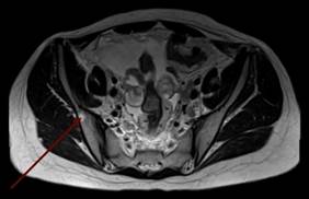 b81830f8-2327-48ce-9345-042af0c2eb26