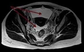 53da4f6d-cf50-46eb-956a-72220793b1c1