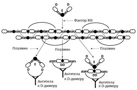 Изображение выглядит как рисунок, диаграмма, зарисовка

Содержимое, созданное искусственным интеллектом, может быть неверным.