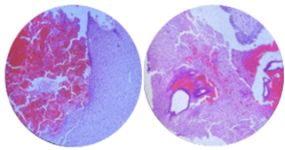 Изображение выглядит как круг, Детское искусство, искусство

Содержимое, созданное искусственным интеллектом, может быть неверным.