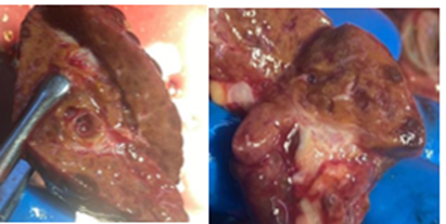 Изображение выглядит как еда, мясо, в помещении

Содержимое, созданное искусственным интеллектом, может быть неверным.