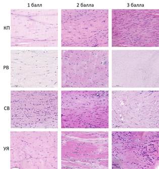 Изображение выглядит как текст, Сирень, розовый, фиолетовый

Автоматически созданное описание