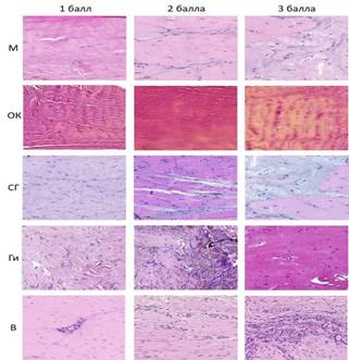 Изображение выглядит как Сирень, розовый, фиолетовый, Красочность

Автоматически созданное описание