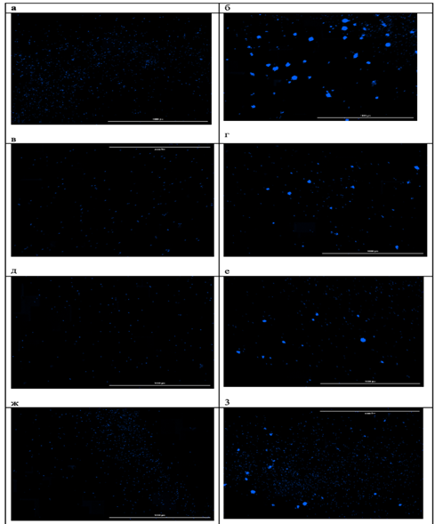 Изображение выглядит как программное обеспечение, Мультимедийное программное обеспечение, Графическое программное обеспечение, Редактирование

Содержимое, созданное искусственным интеллектом, может быть неверным.