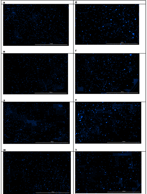 Изображение выглядит как программное обеспечение, Мультимедийное программное обеспечение, Графическое программное обеспечение, Редактирование

Содержимое, созданное искусственным интеллектом, может быть неверным.